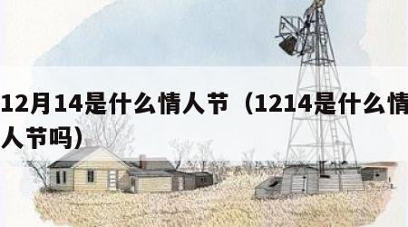 12月14是什么情人节（1214是什么情人节吗）