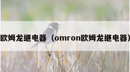 欧姆龙继电器（omron欧姆龙继电器）