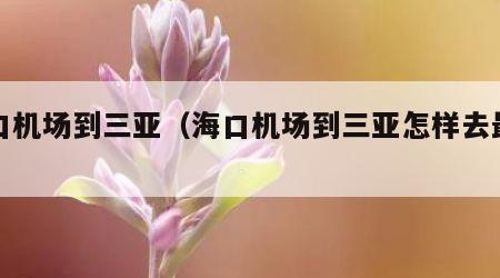 海口机场到三亚（海口机场到三亚怎样去最方便）
