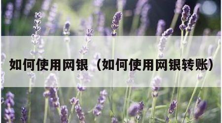 如何使用网银（如何使用网银转账）