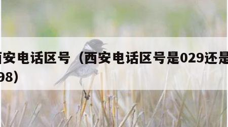 西安电话区号（西安电话区号是029还是0298）