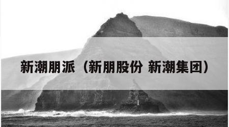 新潮朋派（新朋股份 新潮集团）