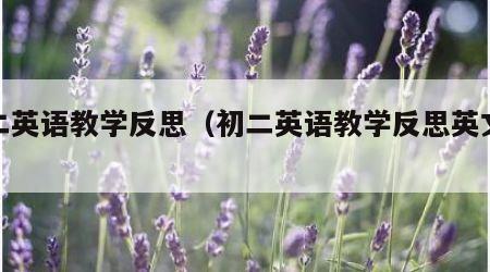 初二英语教学反思（初二英语教学反思英文版）