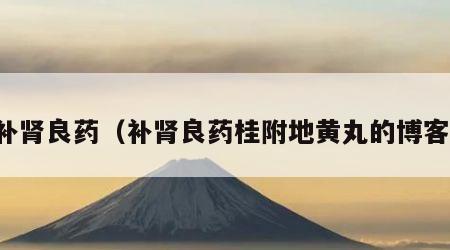 补肾良药（补肾良药桂附地黄丸的博客）