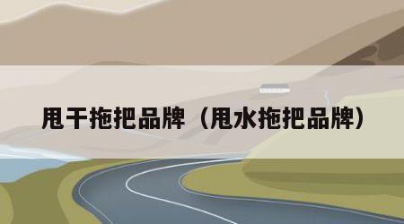 甩干拖把品牌（甩水拖把品牌）