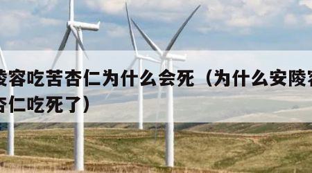 安陵容吃苦杏仁为什么会死（为什么安陵容吃苦杏仁吃死了）
