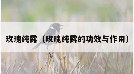 玫瑰纯露（玫瑰纯露的功效与作用）