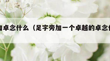 足加卓念什么（足字旁加一个卓越的卓念什么）