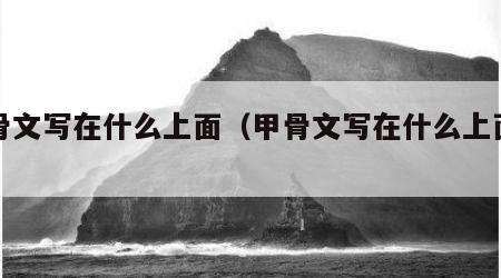 甲骨文写在什么上面（甲骨文写在什么上面的字）