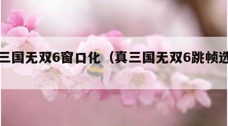 真三国无双6窗口化（真三国无双6跳帧选项）