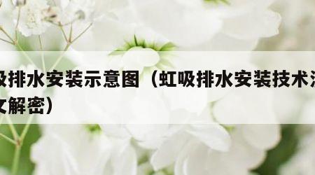 虹吸排水安装示意图（虹吸排水安装技术流程图文解密）