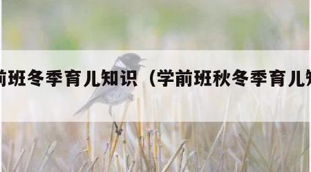 学前班冬季育儿知识（学前班秋冬季育儿知识）