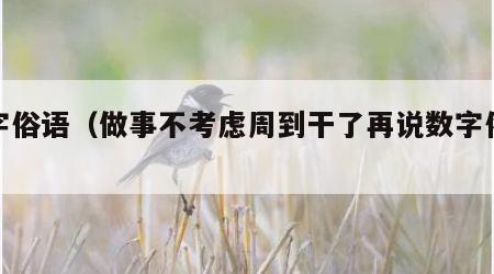 数字俗语（做事不考虑周到干了再说数字俗语）