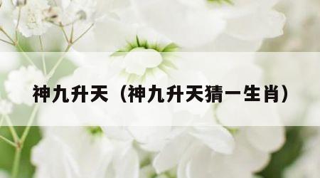 神九升天（神九升天猜一生肖）