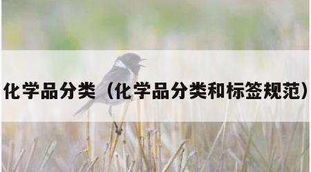 化学品分类（化学品分类和标签规范）
