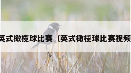 英式橄榄球比赛（英式橄榄球比赛视频）