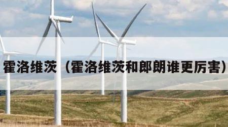霍洛维茨（霍洛维茨和郎朗谁更厉害）
