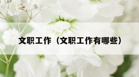 文职工作（文职工作有哪些）