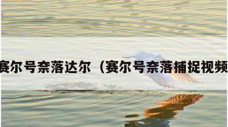 赛尔号奈落达尔（赛尔号奈落捕捉视频）