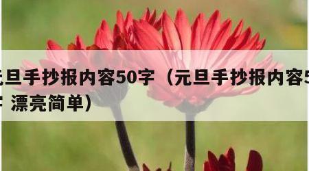 元旦手抄报内容50字（元旦手抄报内容50字 漂亮简单）