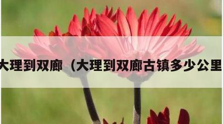 大理到双廊（大理到双廊古镇多少公里）