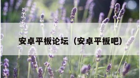 安卓平板论坛（安卓平板吧）