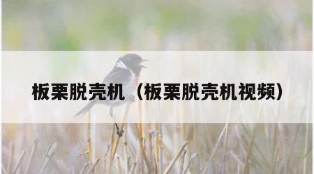 板栗脱壳机（板栗脱壳机视频）