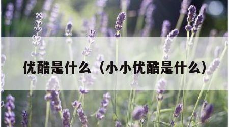 优酷是什么（小小优酷是什么）