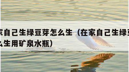 在家自己生绿豆芽怎么生（在家自己生绿豆芽怎么生用矿泉水瓶）