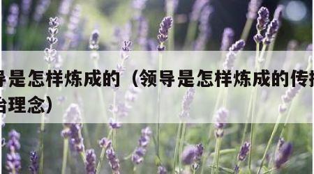 领导是怎样炼成的（领导是怎样炼成的传播的政治理念）