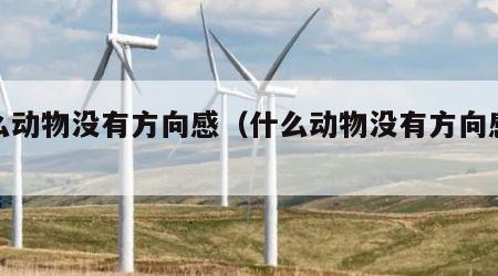 什么动物没有方向感（什么动物没有方向感谜底）