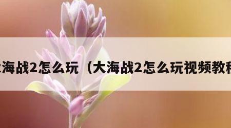 大海战2怎么玩（大海战2怎么玩视频教程）
