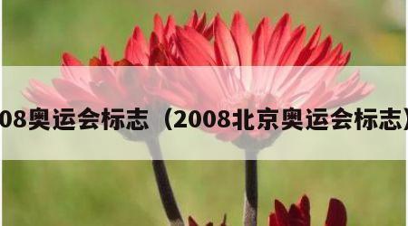08奥运会标志（2008北京奥运会标志）