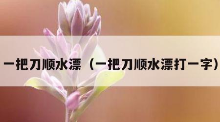 一把刀顺水漂（一把刀顺水漂打一字）