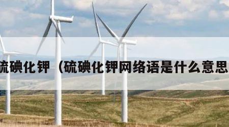 硫碘化钾（硫碘化钾网络语是什么意思）