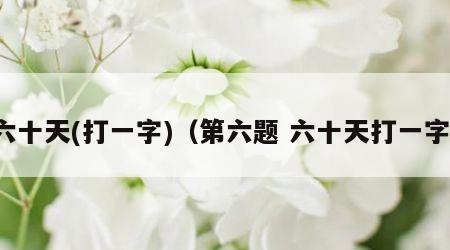 六十天(打一字)（第六题 六十天打一字）