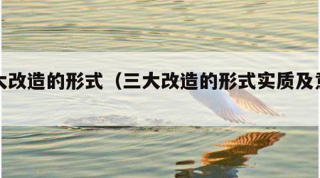 三大改造的形式（三大改造的形式实质及意义）