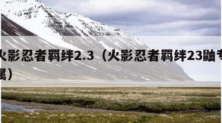 火影忍者羁绊2.3（火影忍者羁绊23鼬专属）