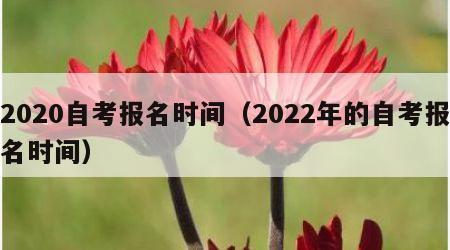 2020自考报名时间（2022年的自考报名时间）