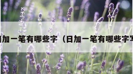 日加一笔有哪些字（日加一笔有哪些字写）