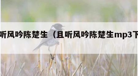 且听风吟陈楚生（且听风吟陈楚生mp3下载）