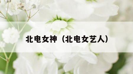 北电女神（北电女艺人）