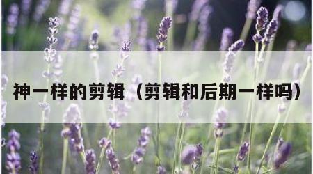神一样的剪辑（剪辑和后期一样吗）
