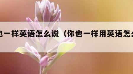 你也一样英语怎么说（你也一样用英语怎么读）