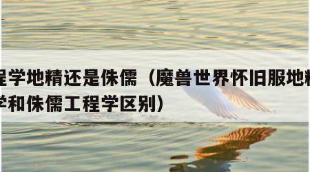 工程学地精还是侏儒（魔兽世界怀旧服地精工程学和侏儒工程学区别）