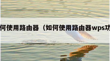 如何使用路由器（如何使用路由器wps功能）