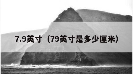 7.9英寸（79英寸是多少厘米）