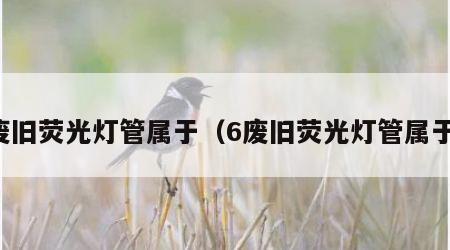 废旧荧光灯管属于（6废旧荧光灯管属于）