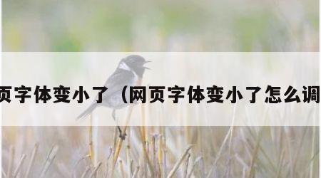 网页字体变小了（网页字体变小了怎么调大）