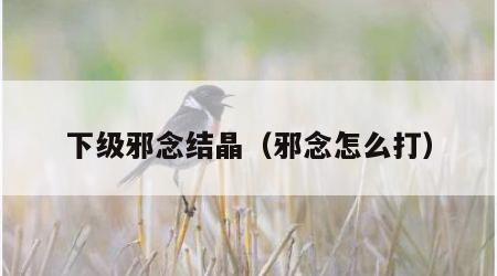 下级邪念结晶（邪念怎么打）
